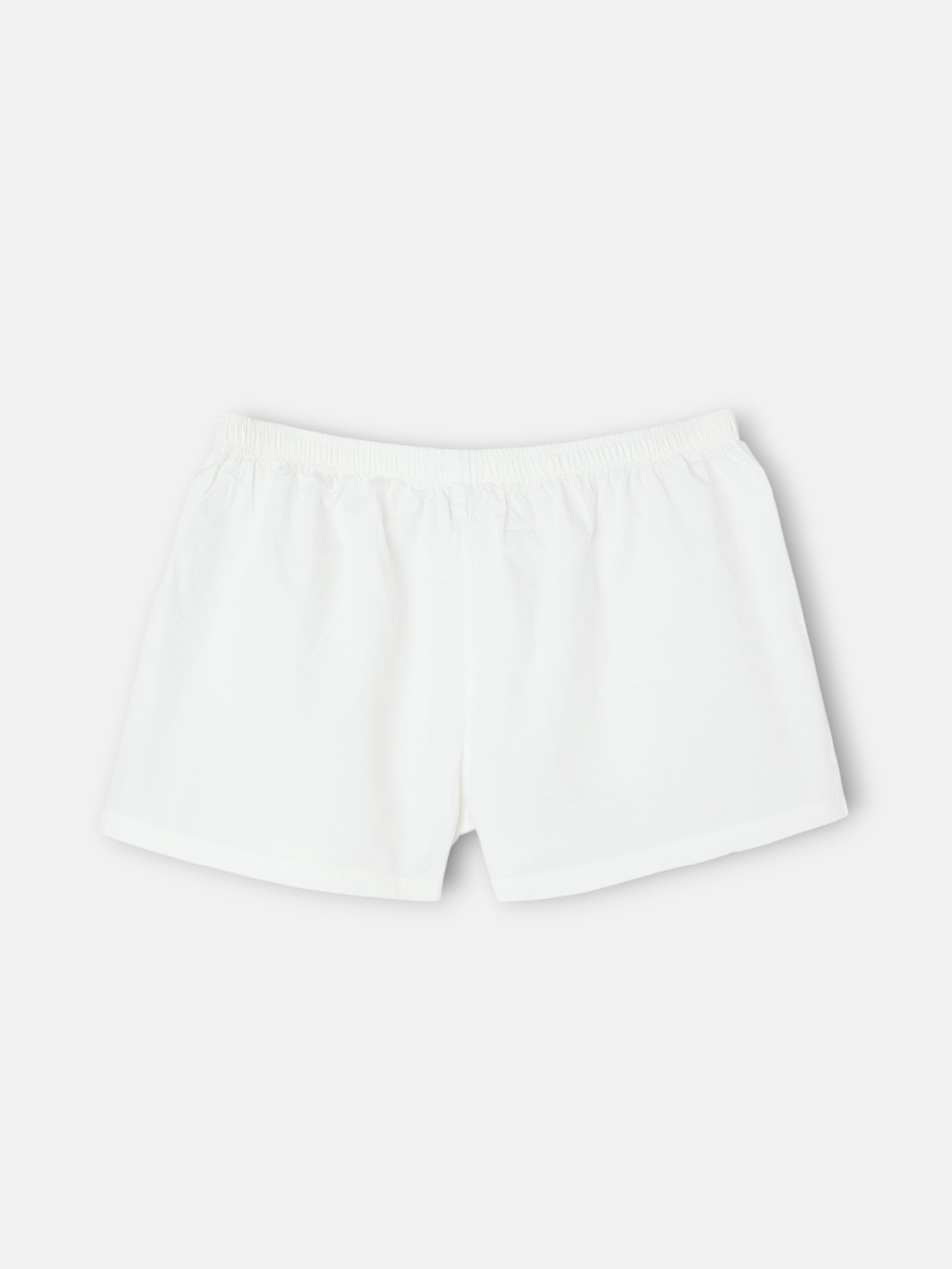 Plain white minilogo briefs