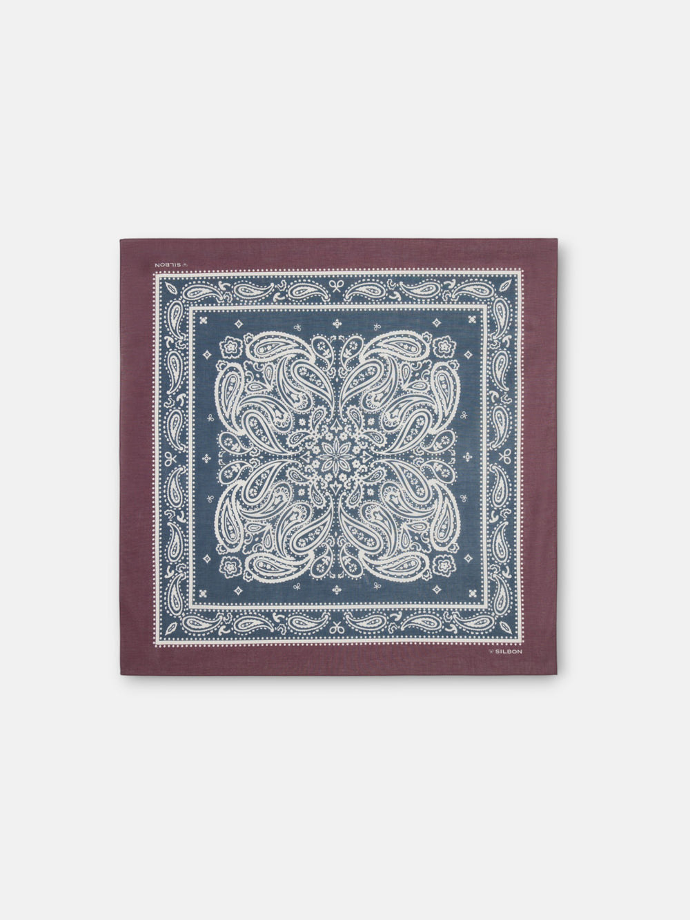 Bandana unique pasley bicolor