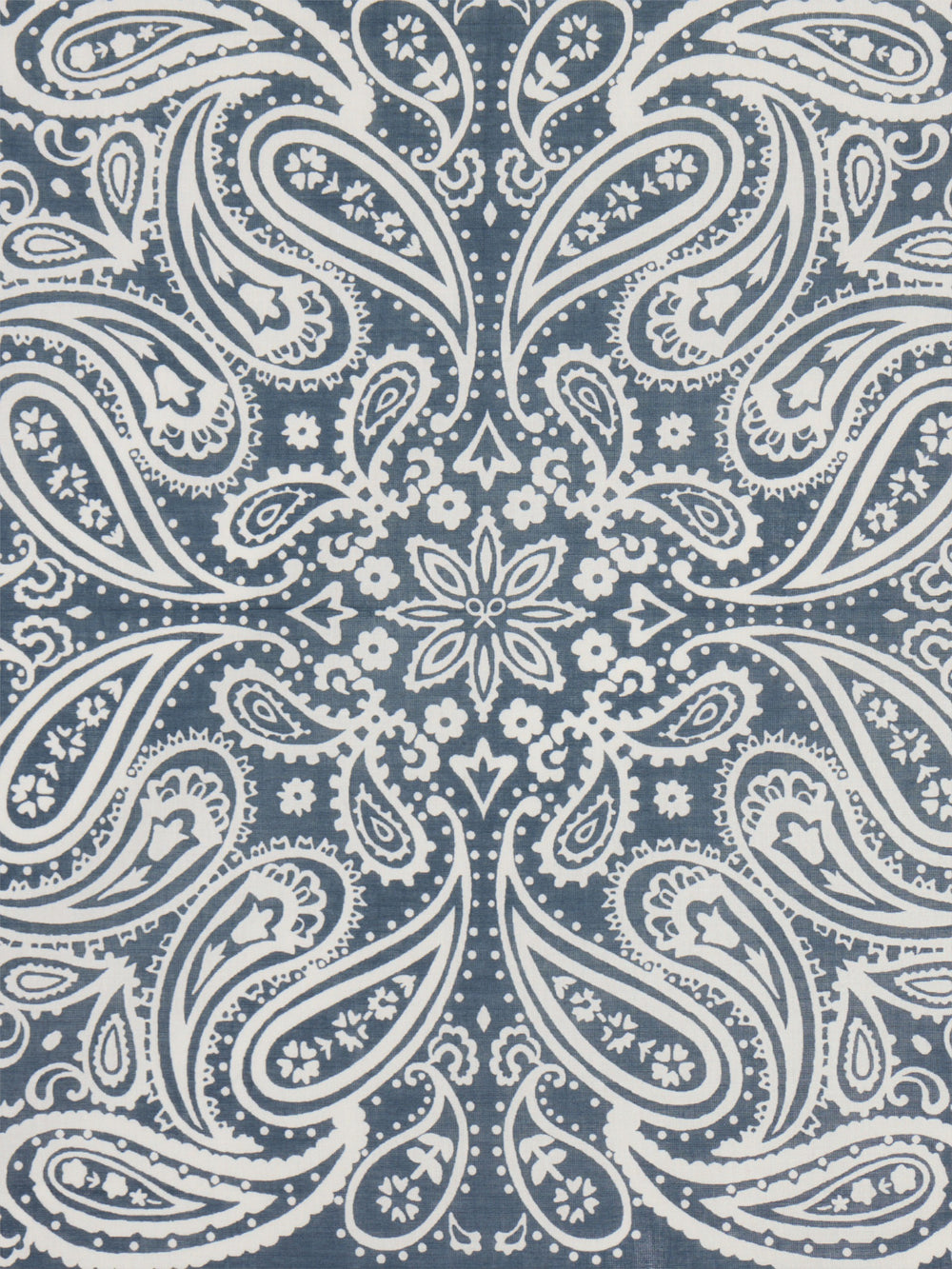 Bandana unique pasley bicolor