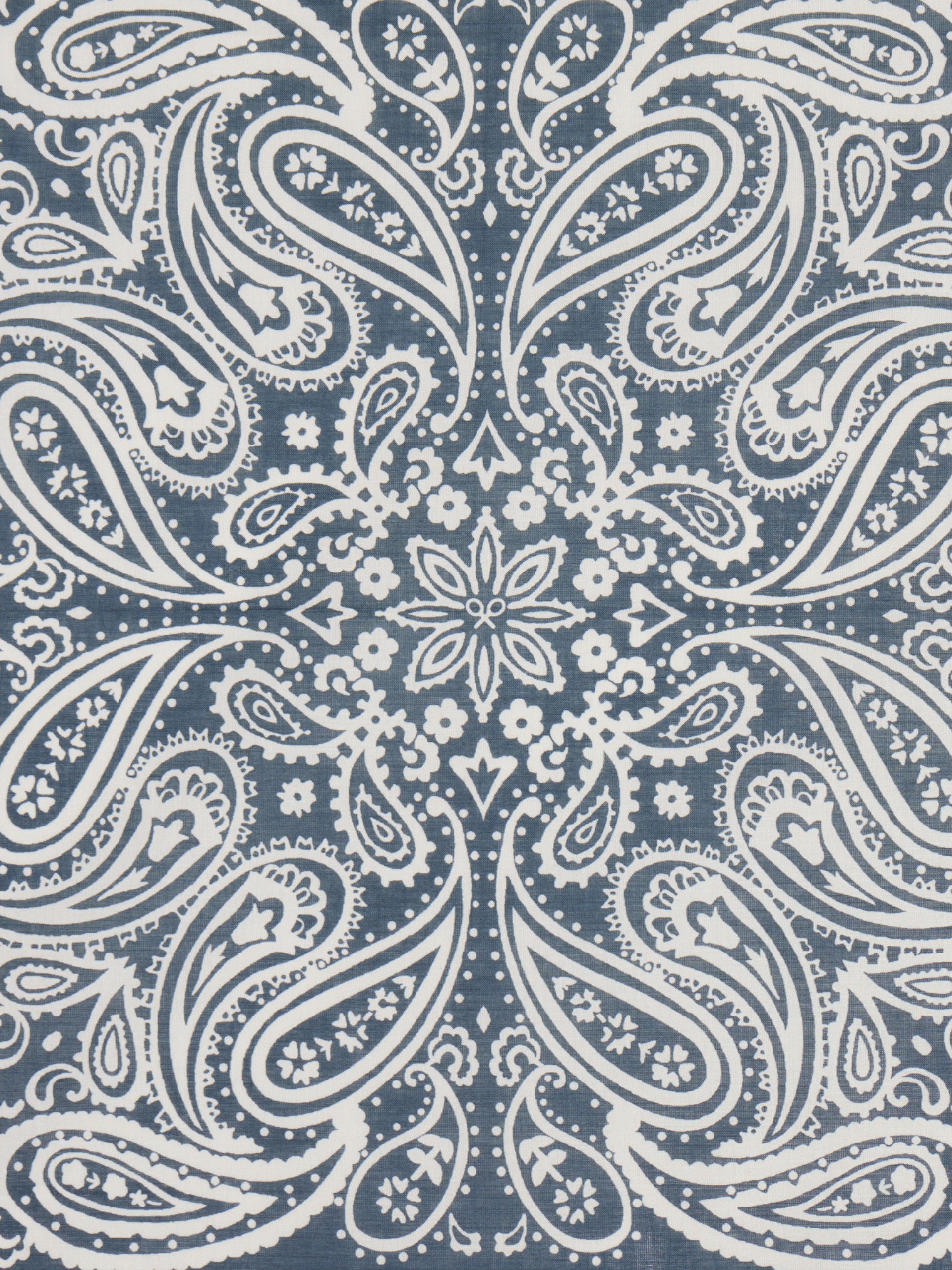 Bandana cachemire bicolore unique