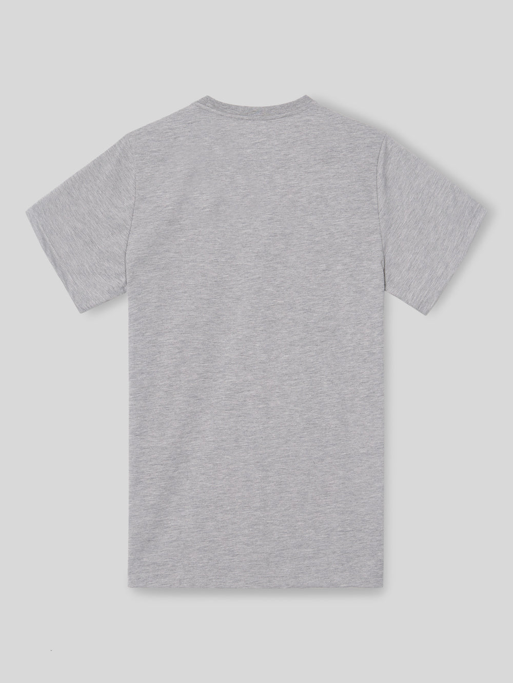 Camiseta silbon minilogo gris