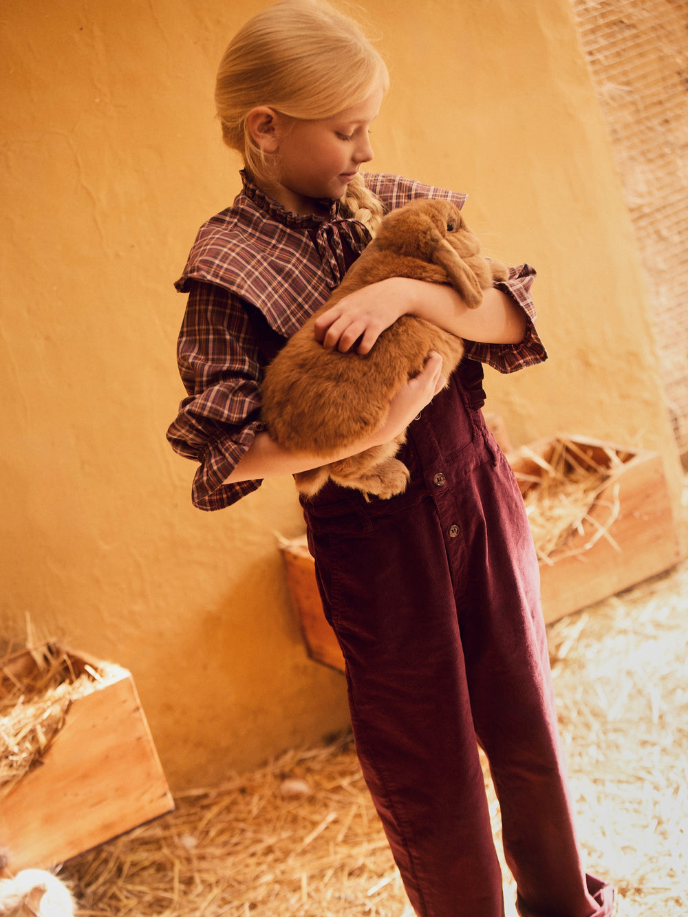 Mono girl pana burdeos