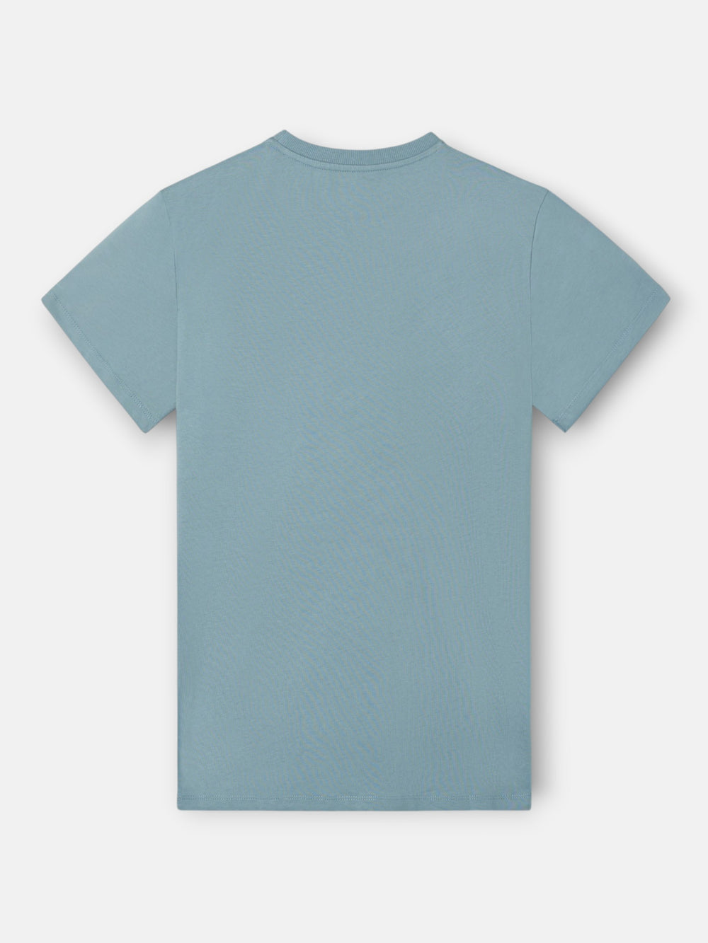 Camiseta clasica minilogo rizo petroleo