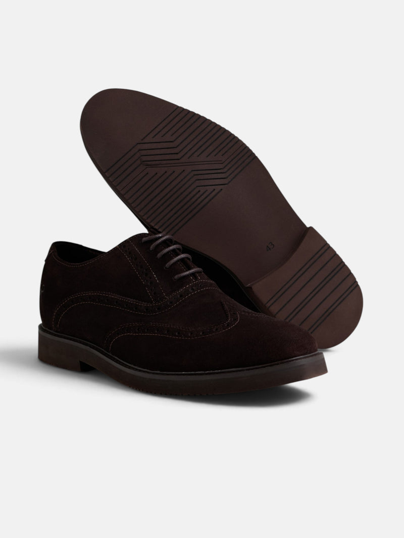 Zapato clasico ante perforado marron
