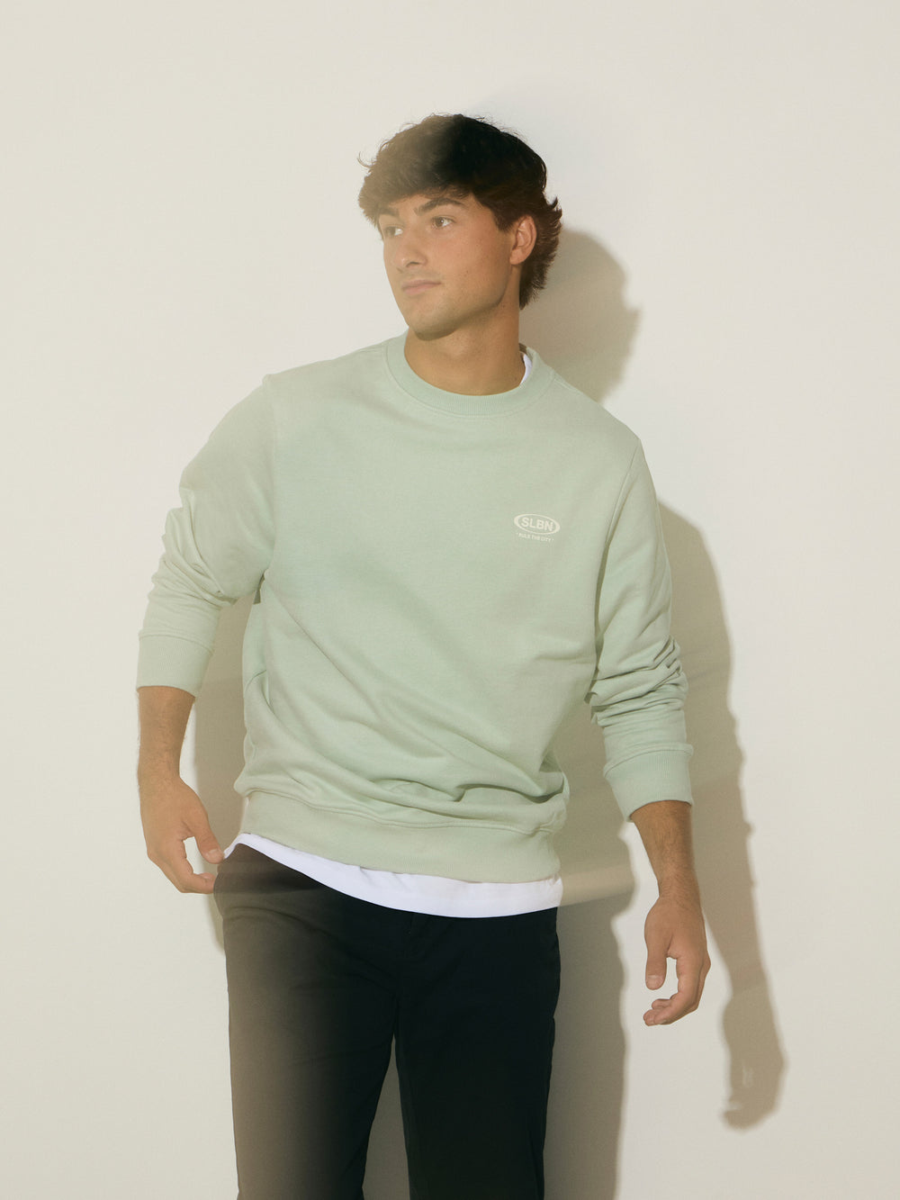 Sudadera slbn works verde