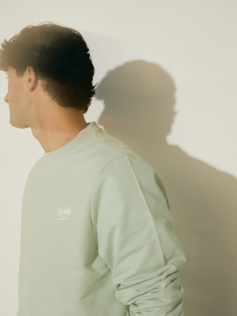 Sudadera slbn works verde