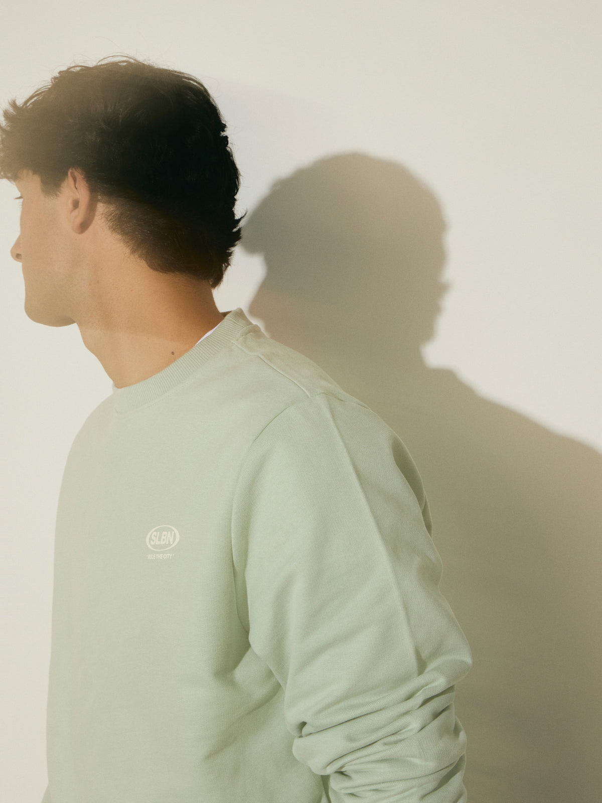 Sweatshirt slbn works verde