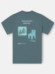 Camiseta nordic vibes gris