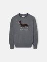 Pull enfant chien gris
