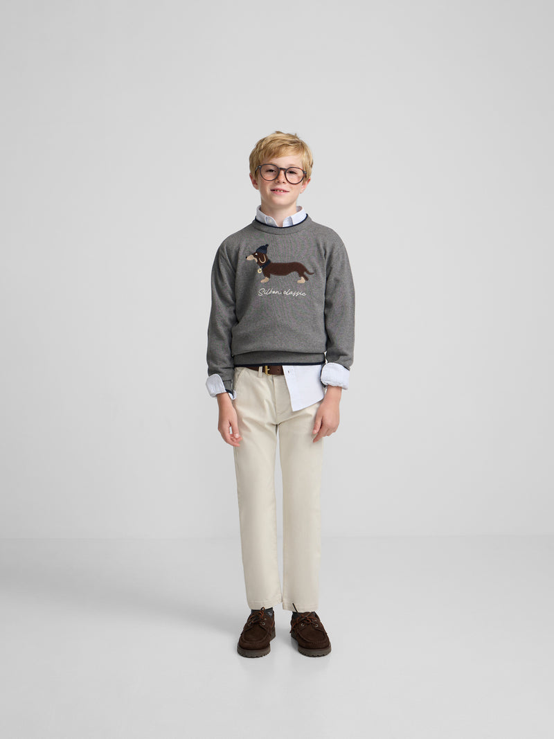 Pull enfant chien gris