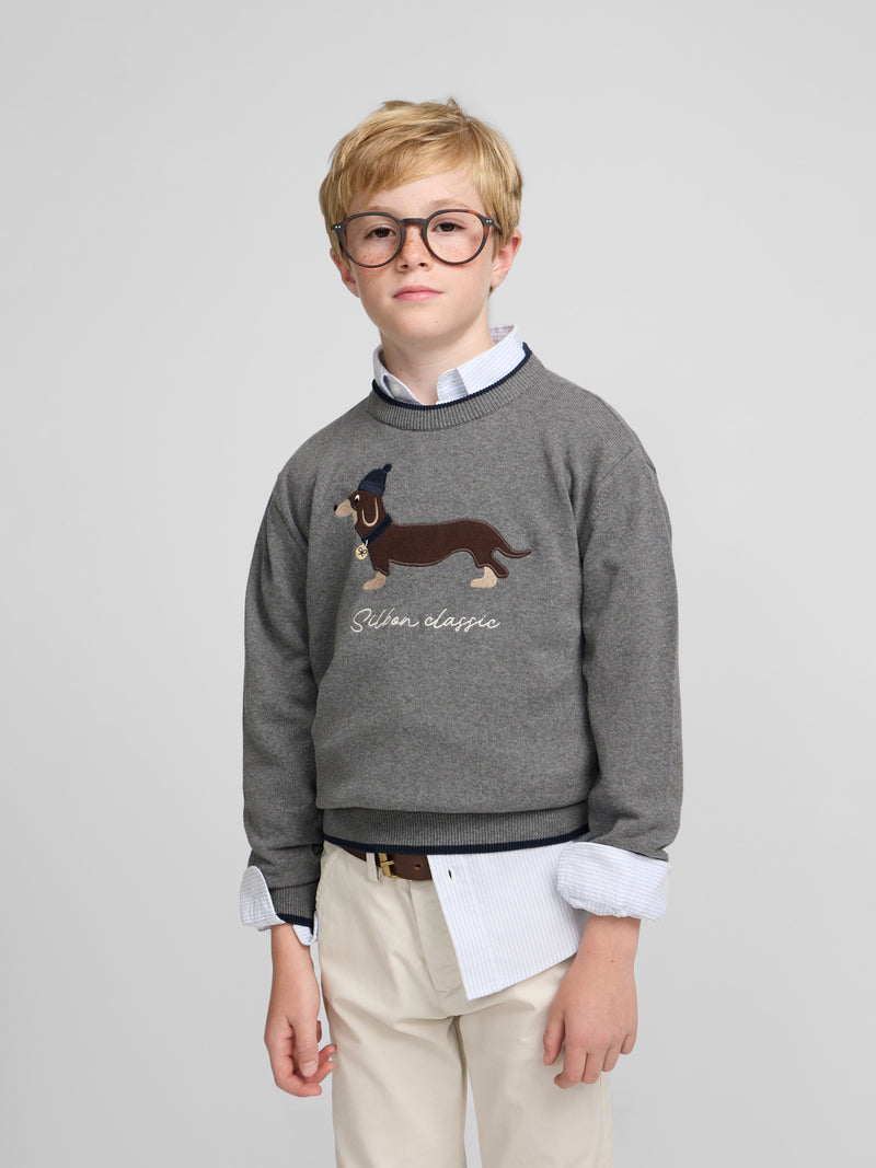 Pull enfant chien gris