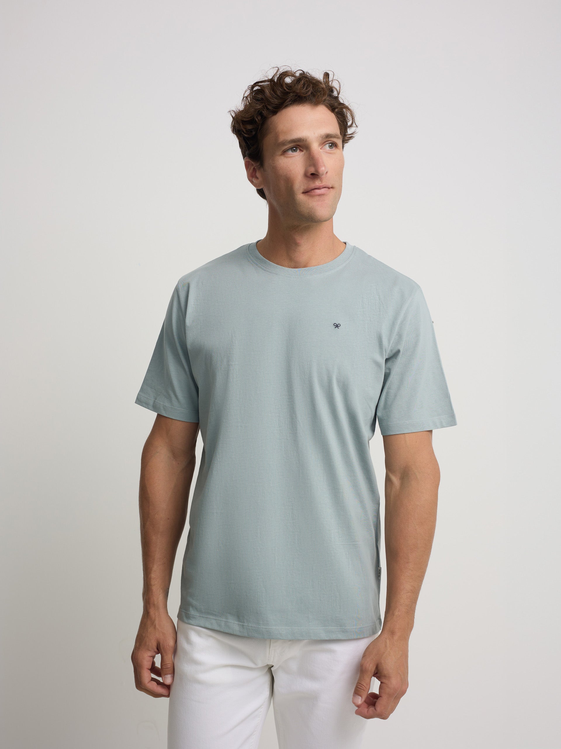 Green-grey mini logo t-shirt