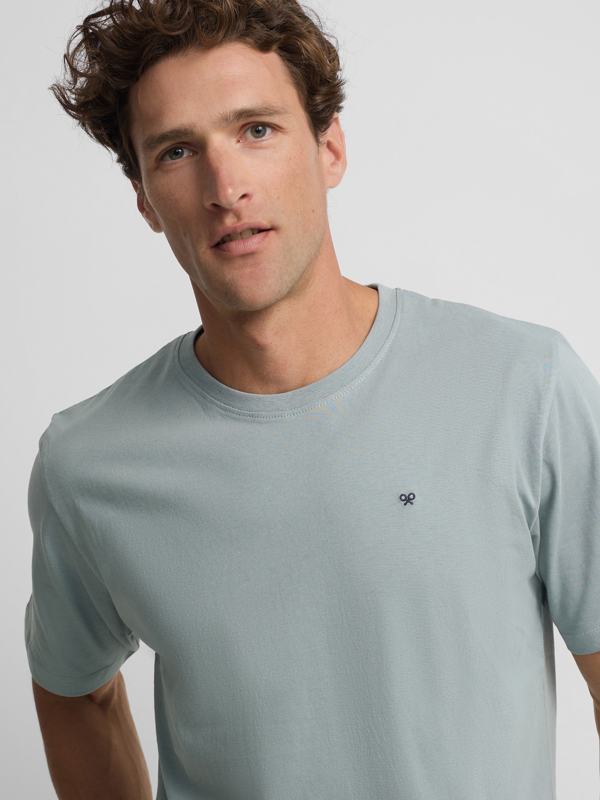 Green-grey mini logo t-shirt