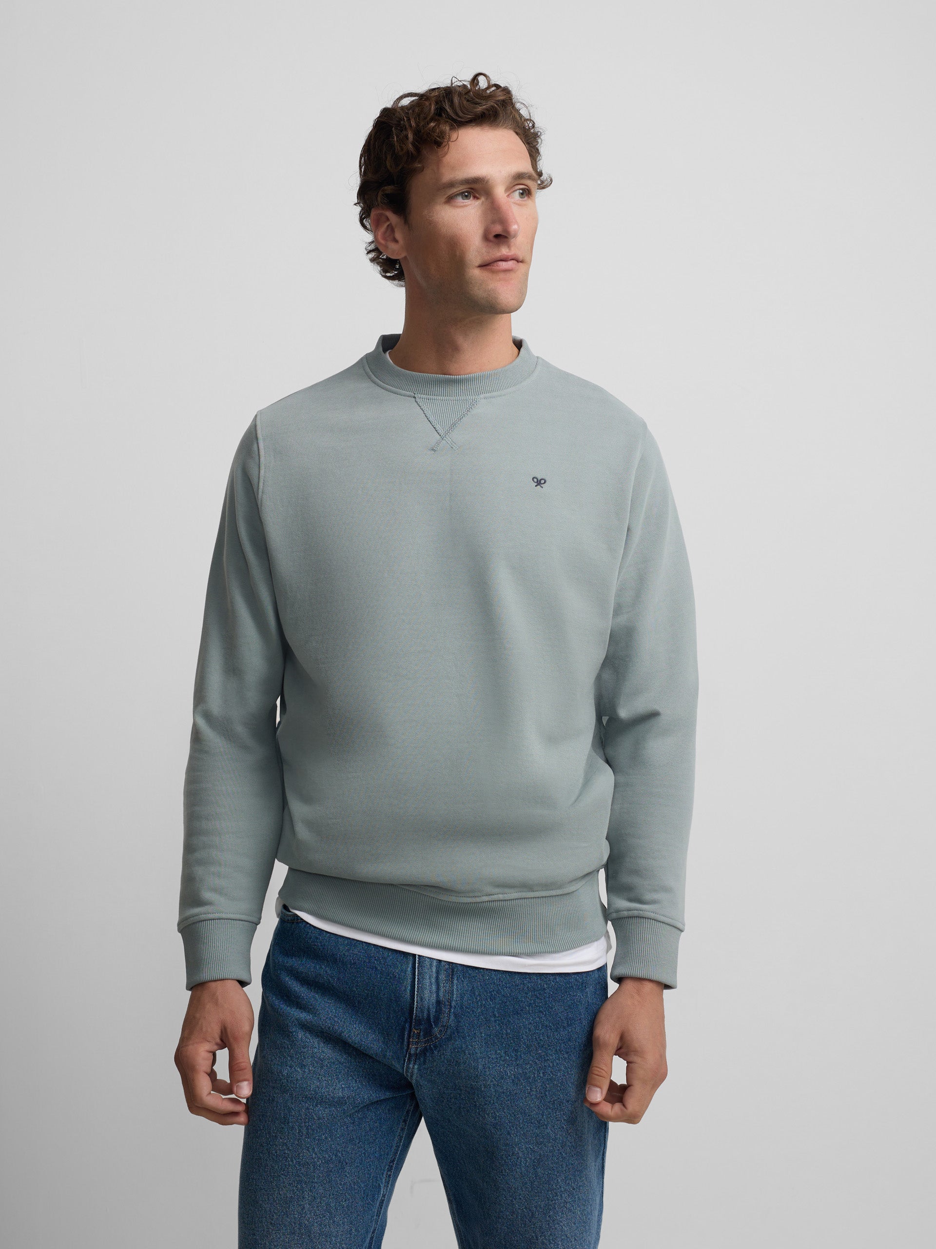 Sudadera silbon minilogo verde gris