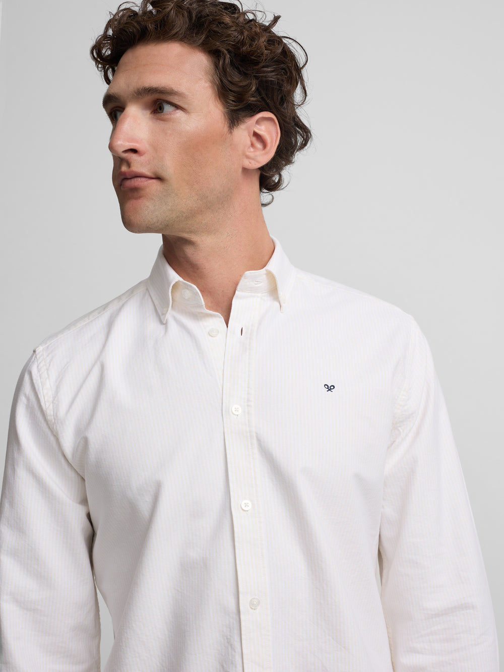 Camisa sport oxford riscas amarela