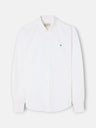 Camisa sport oxford risca média amarela