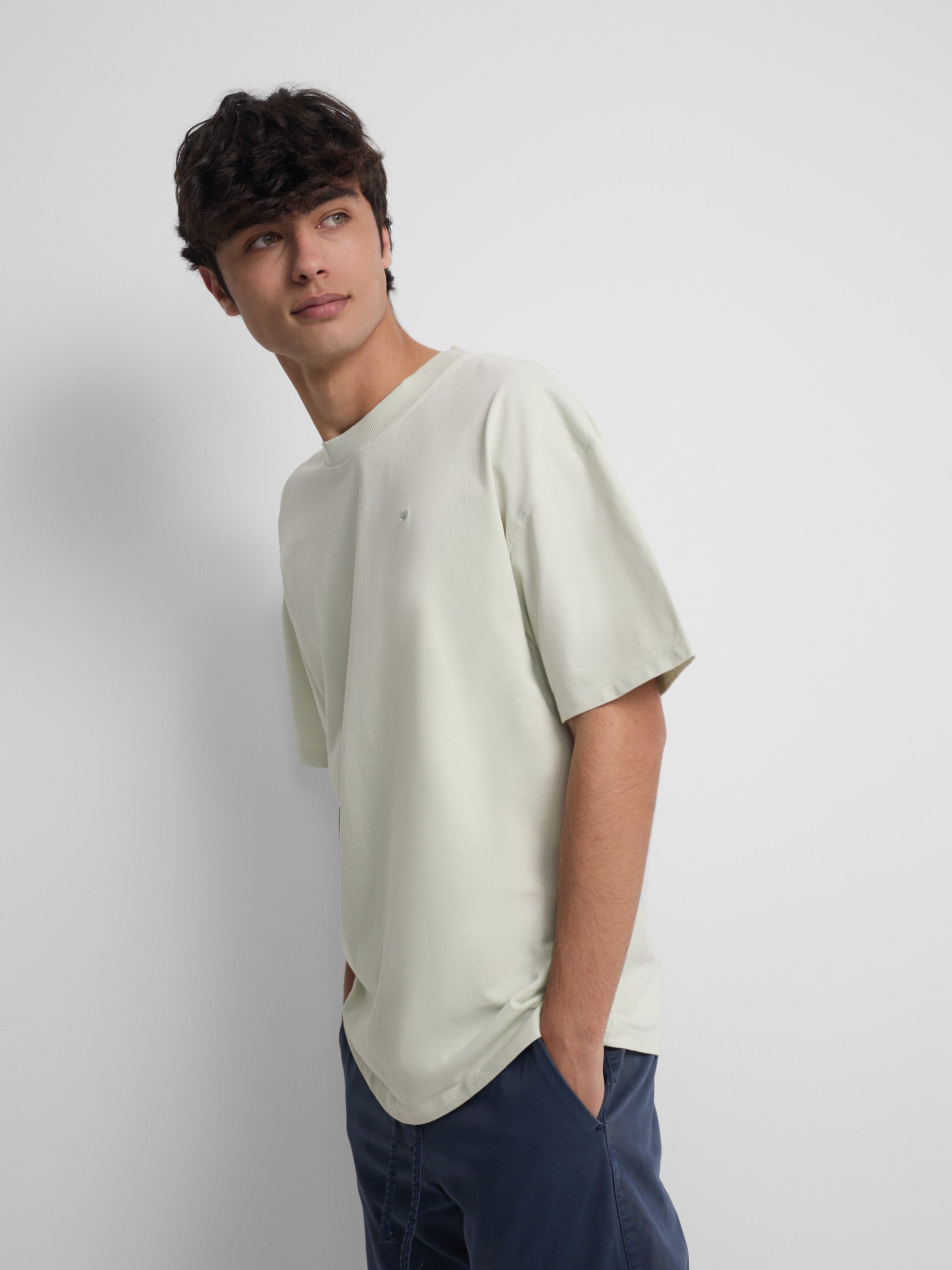 Relaxed fit t-shirt surfing plans light green