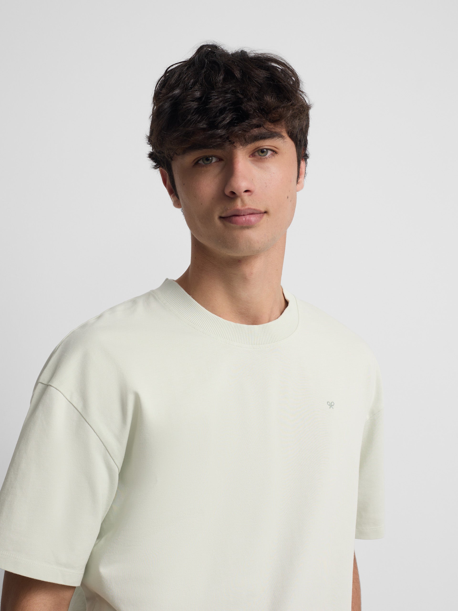 Relaxed fit t-shirt surfing plans light green