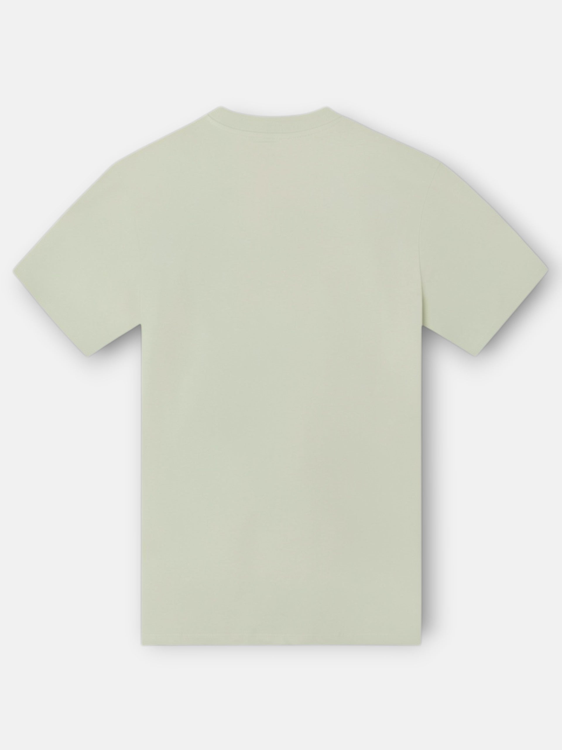 Camiseta relaxed fit slbn cross verde claro