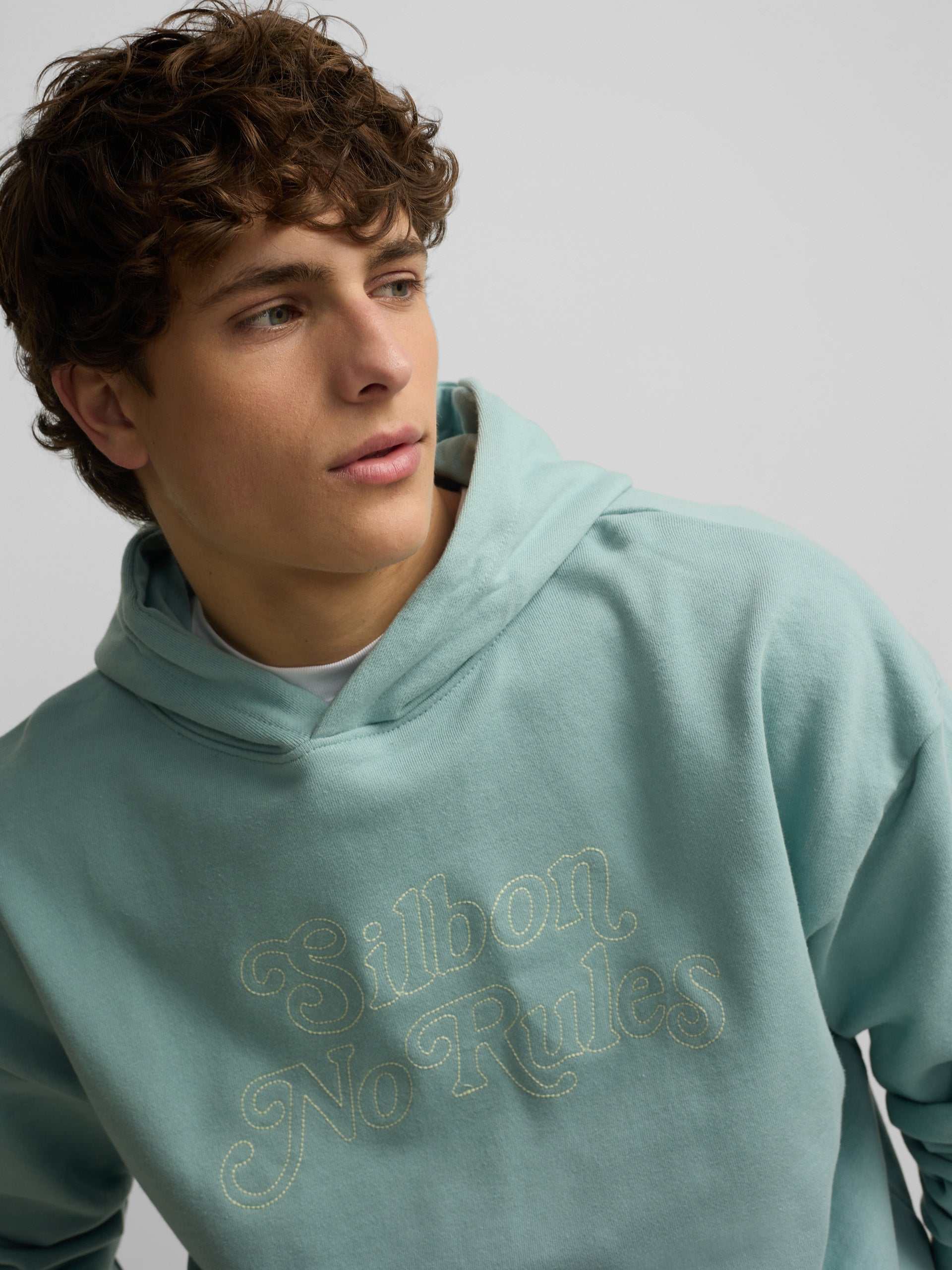 Sudadera relaxed fit hoodie no rules verde gris
