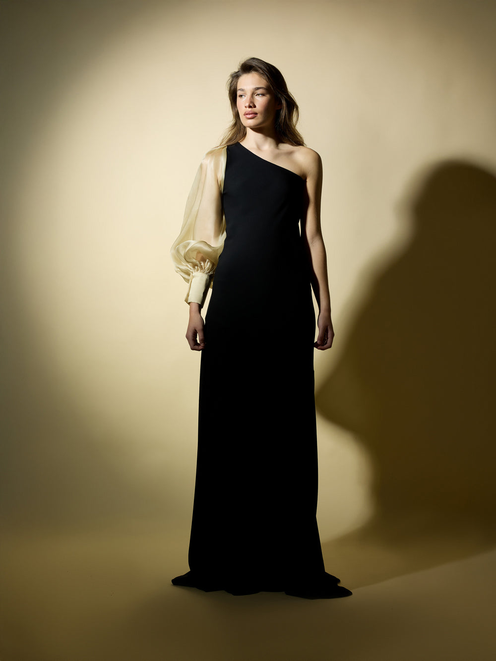 Vestido CaprilexSilbon manga asimétrica organza