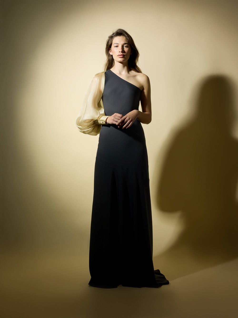 Vestido CaprilexSilbon manga asimétrica organza