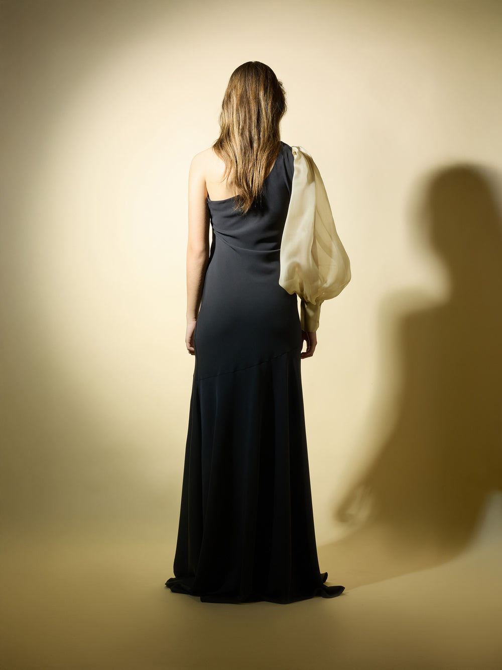 Vestido CaprilexSilbon manga asimétrica organza