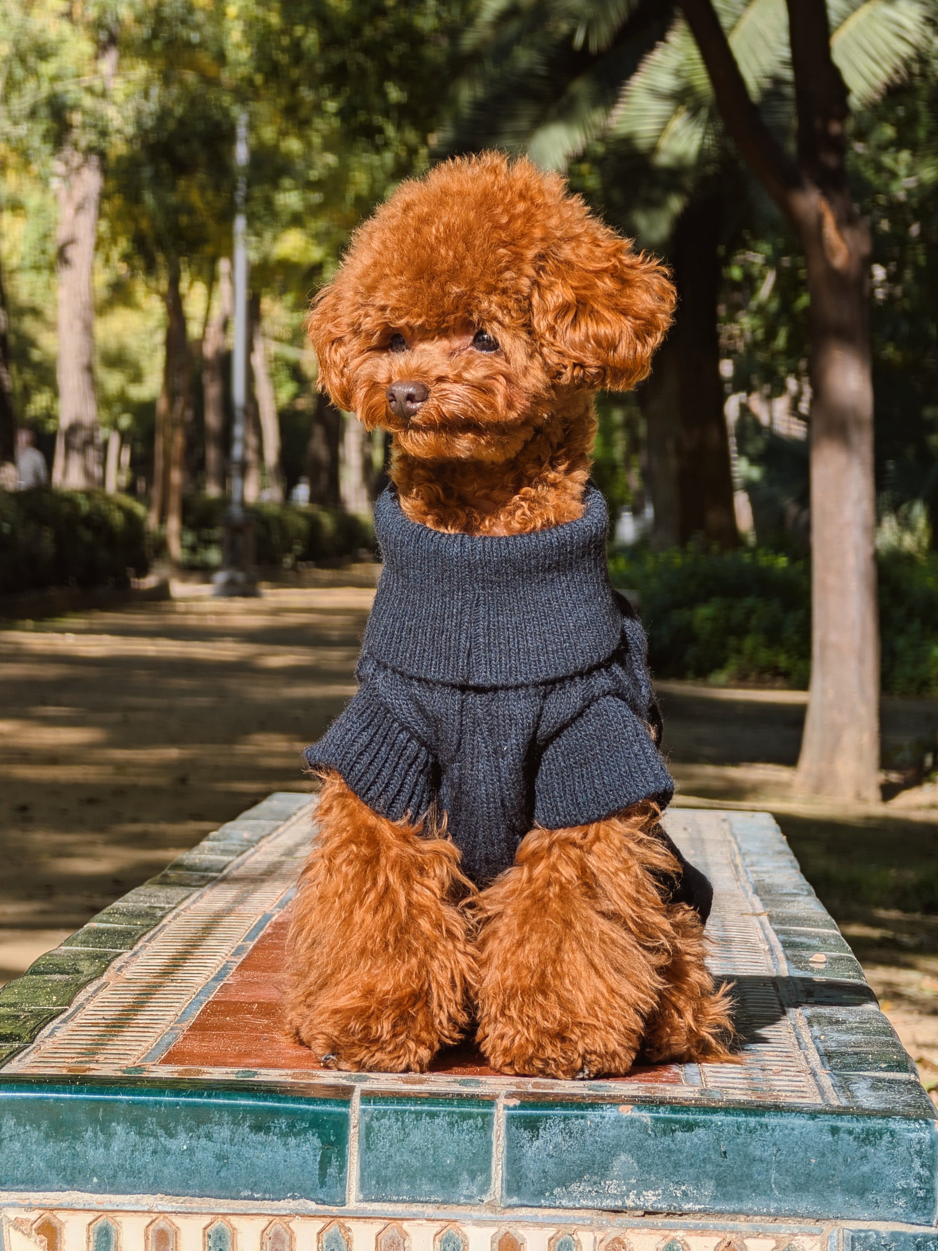 Jersey mascotas cuello vuelto azul marino