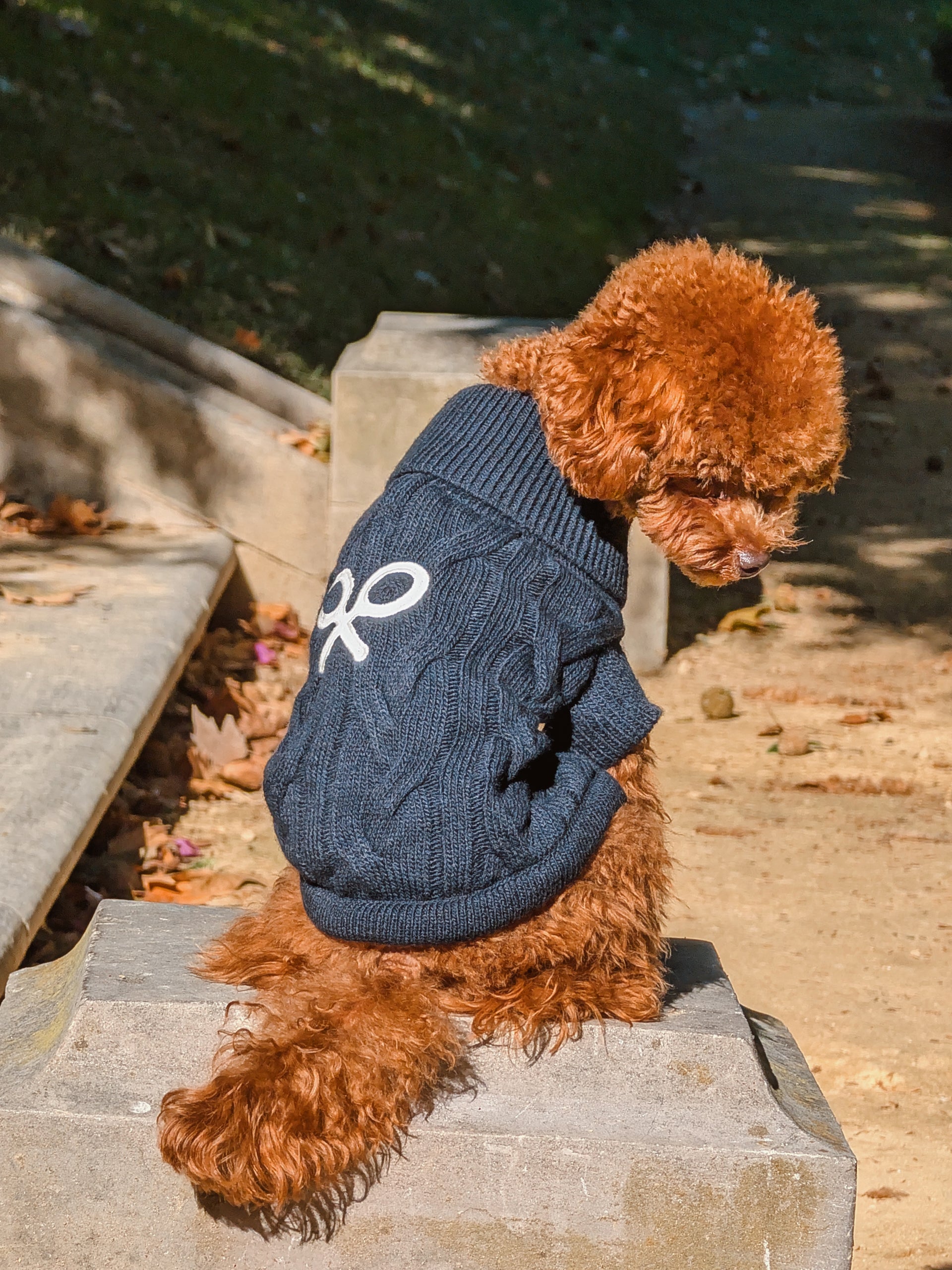 Jersey mascotas cuello vuelto azul marino