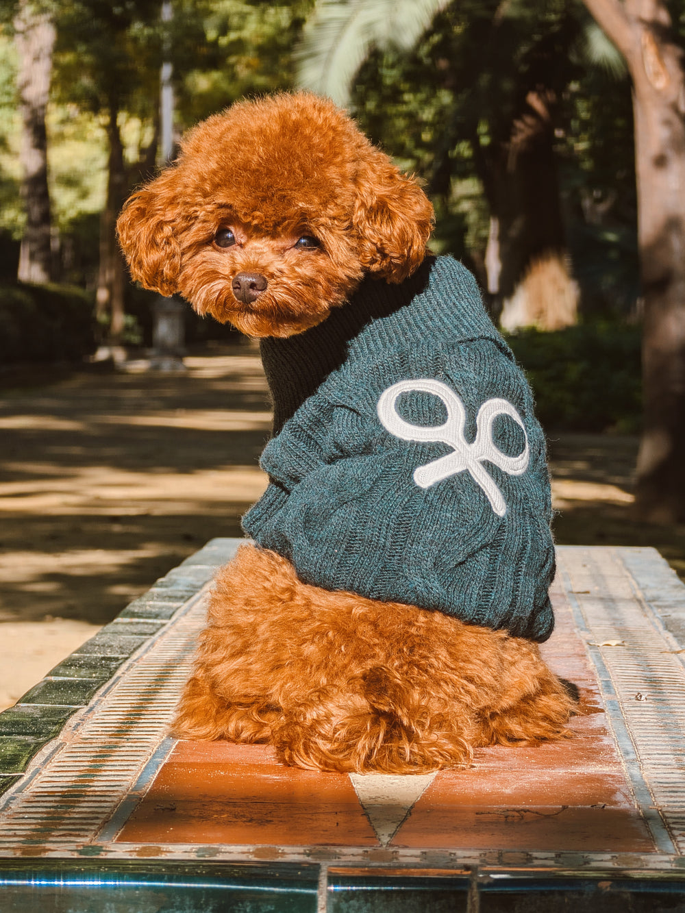 Jersey mascotas cuello vuelto verde