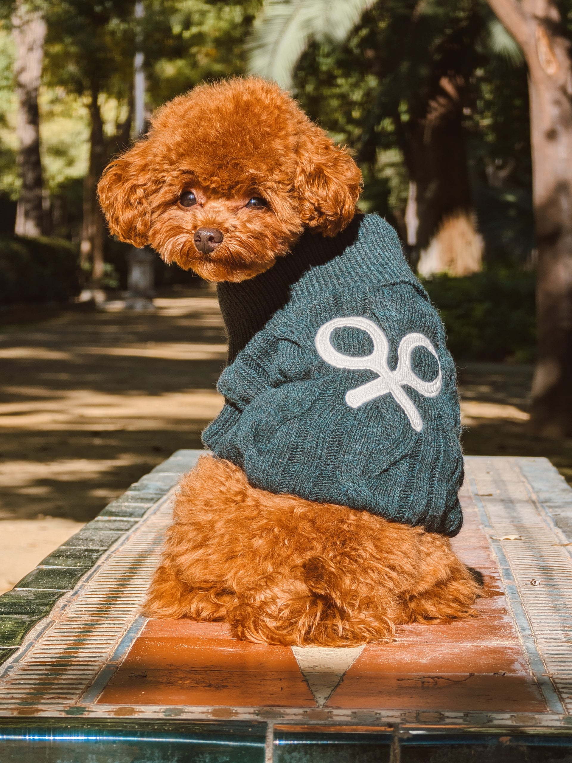 Jersey mascotas cuello vuelto verde