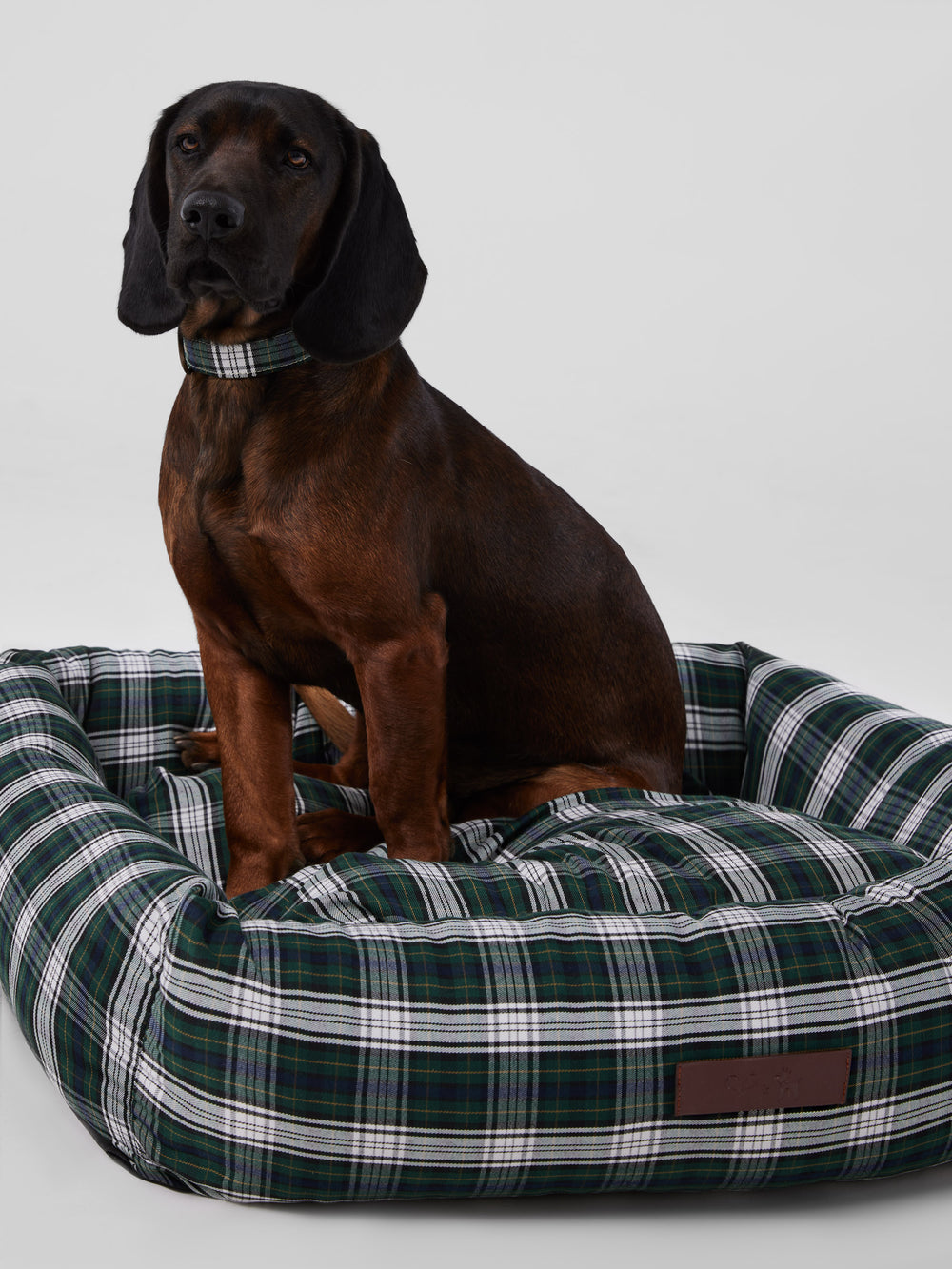 Cama grande perro SILBONxLADRANGAUCHO tartan