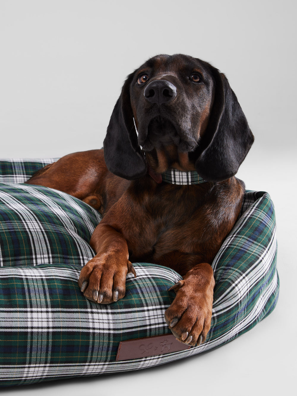 Cama grande perro SILBONxLADRANGAUCHO tartan